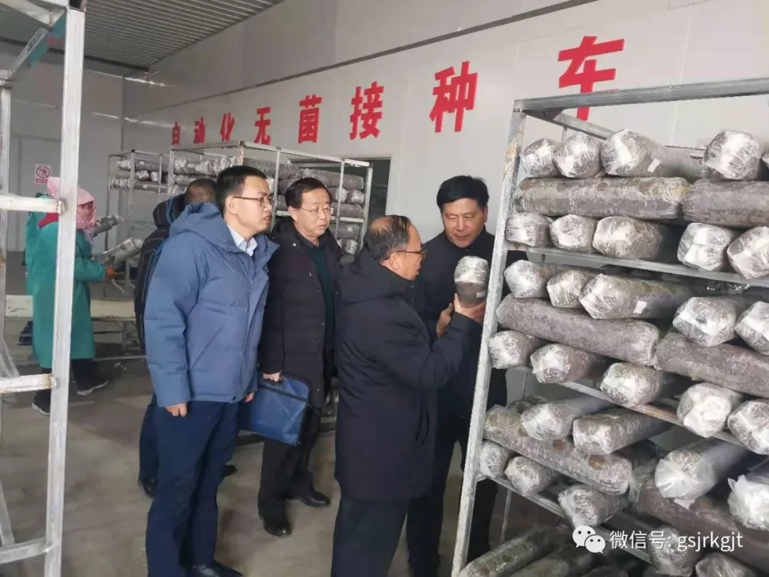 防風險 夯基礎 促發展——金控武威擔保開展保后管理專項檢查